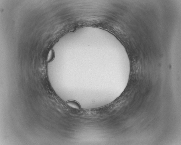 X0000060271109200511112040