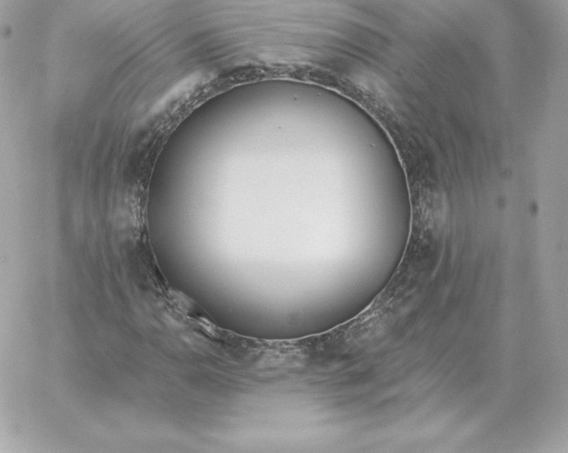 X0000060271110200511112040