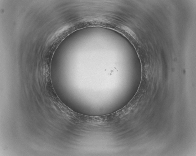 X0000060271111200511112040