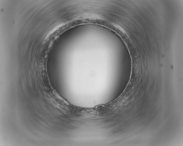 X0000060271112200511112040