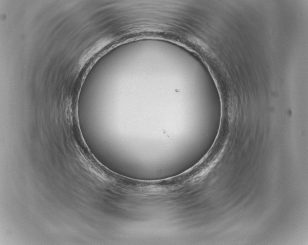 X0000060271113200511112040