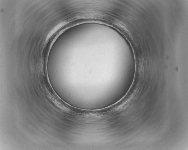 X0000060271114200511112040