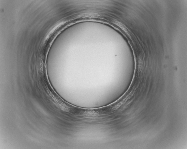 X0000060271115200511112040