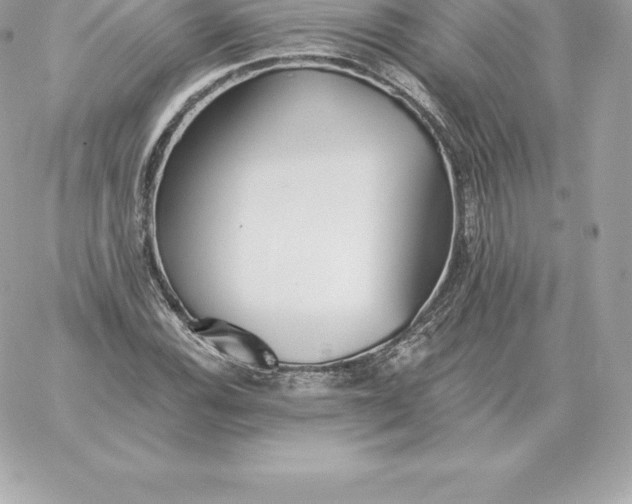 X0000060271116200511112040