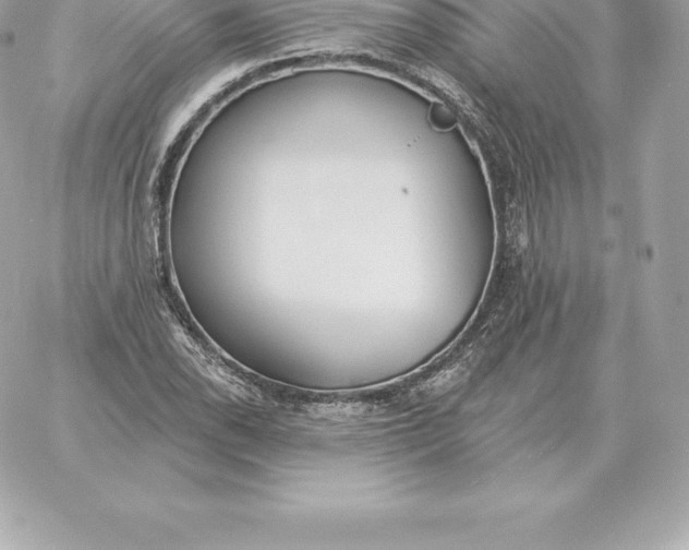 X0000060271118200511112040