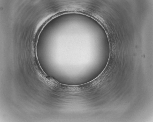 X0000060271120200511112040