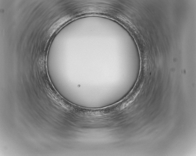 X0000060271121200511112040