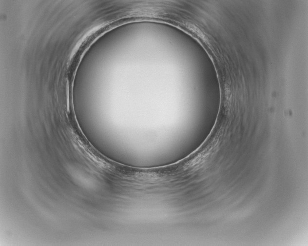 X0000060271123200511112040