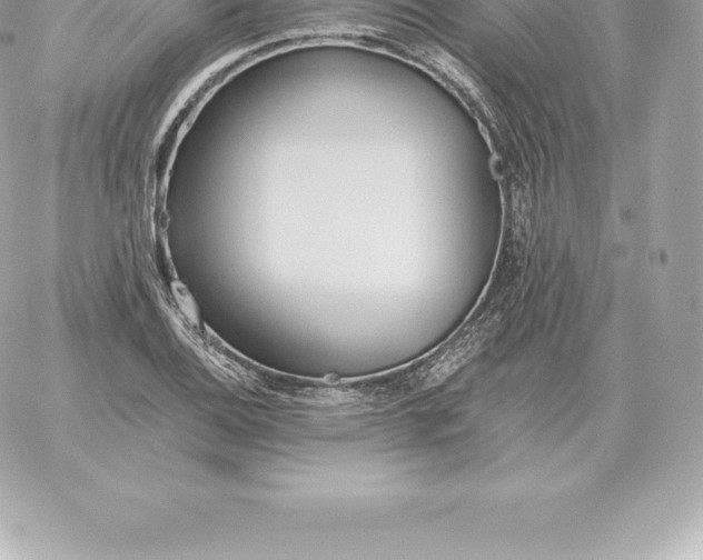 X0000060271124200511112040