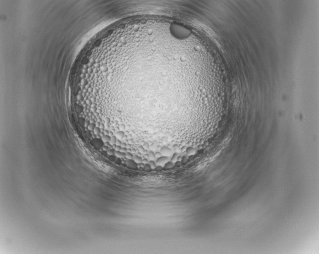 X0000060271125200511112040