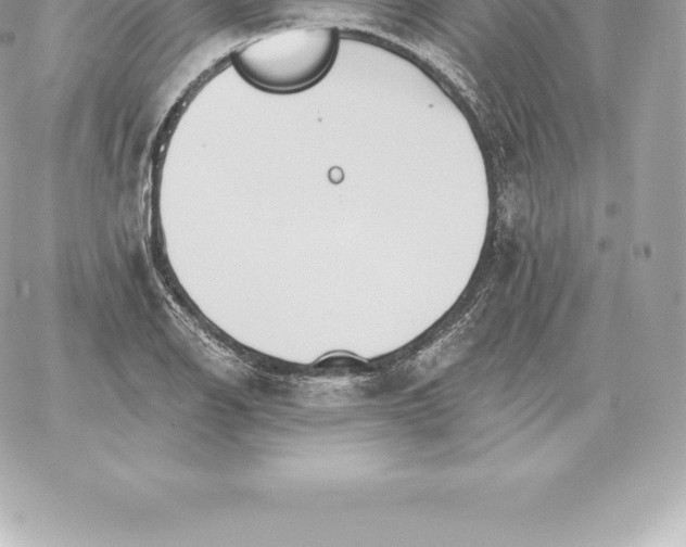 X0000060271126200511112040