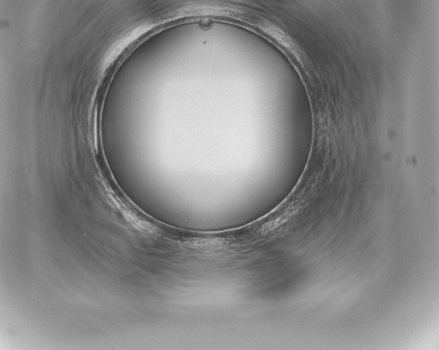 X0000060271127200511112040