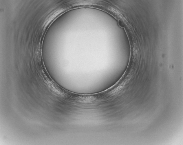 X0000060271129200511112040