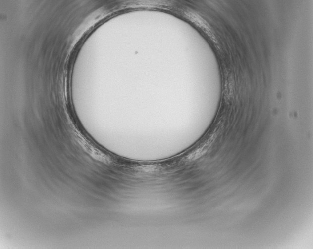 X0000060271130200511112040