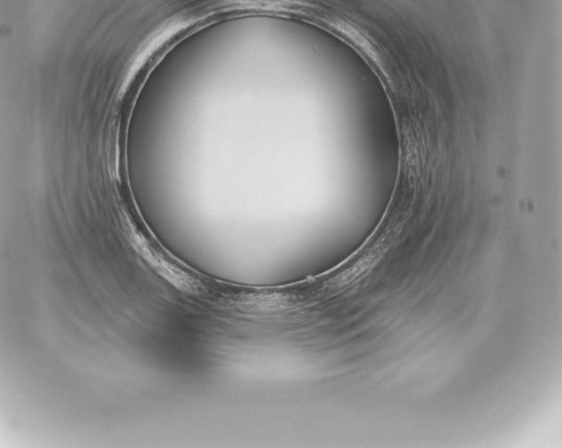 X0000060271131200511112040