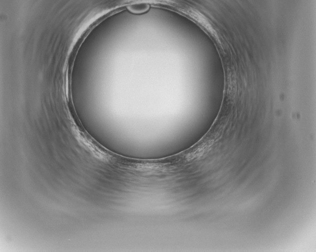 X0000060271132200511112040