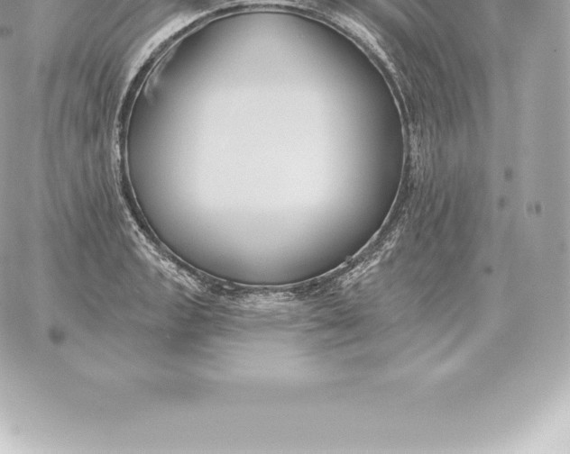 X0000060271133200511112040