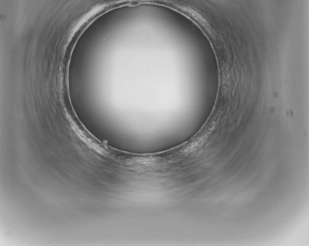 X0000060271134200511112040