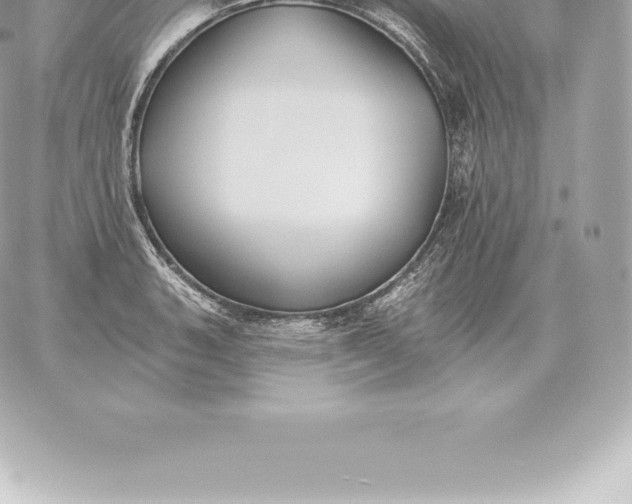 X0000060271135200511112040