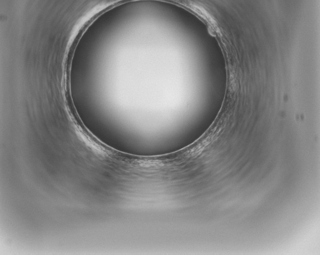 X0000060271136200511112040