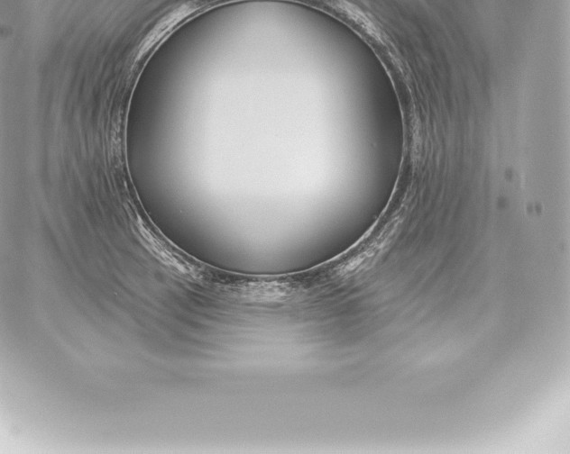 X0000060271137200511112040