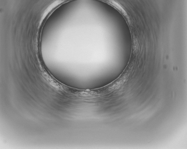 X0000060271138200511112040