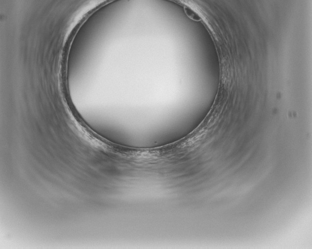 X0000060271139200511112040