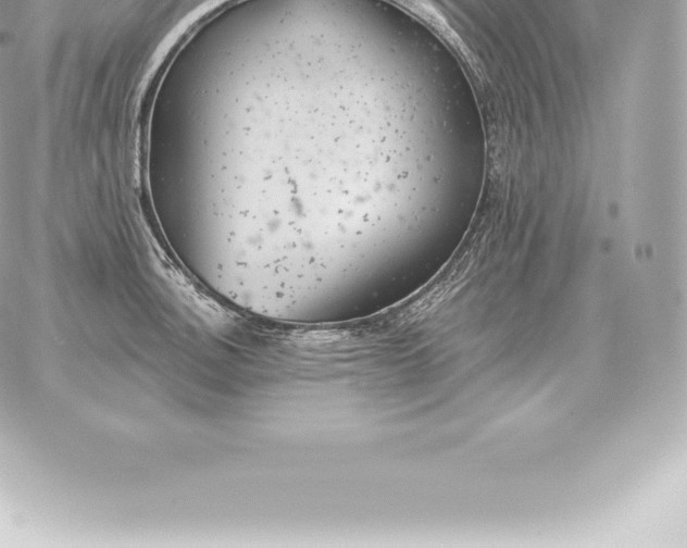 X0000060271140200511112040