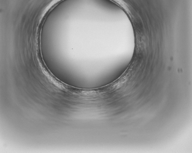 X0000060271142200511112040