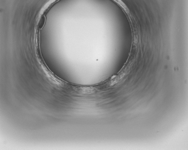 X0000060271144200511112040