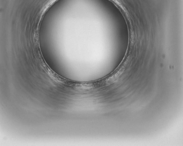 X0000060271145200511112040