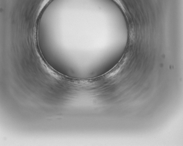 X0000060271149200511112040