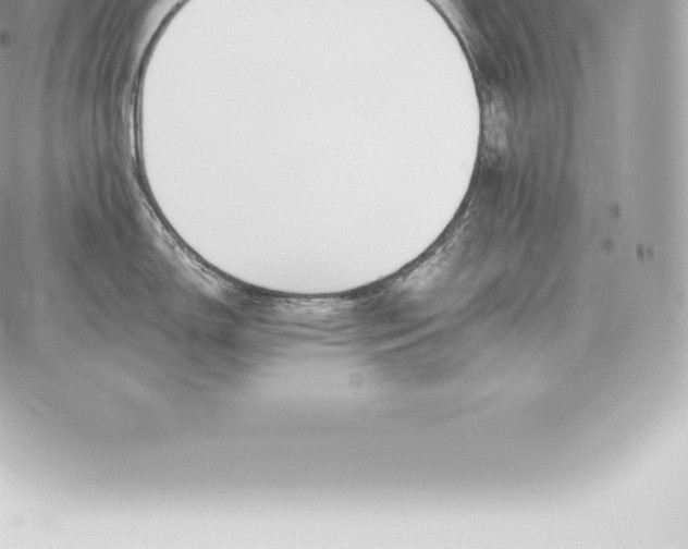 X0000060271150200511112040