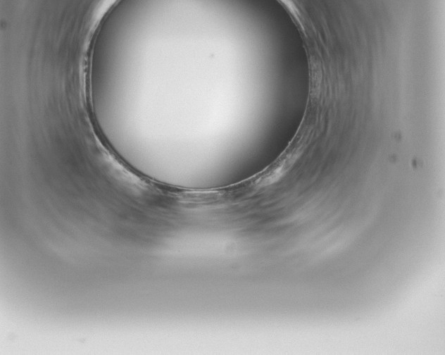 X0000060271151200511112040