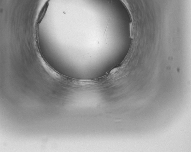 X0000060271152200511112040