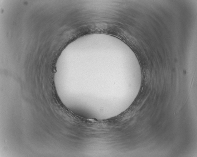 X0000060271153200511112040