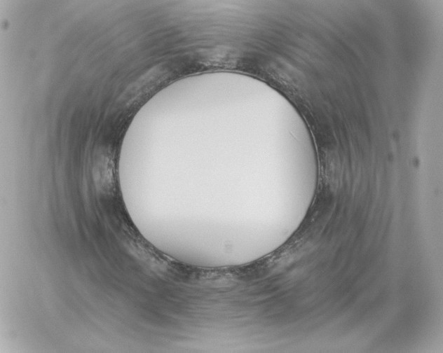 X0000060271154200511112040