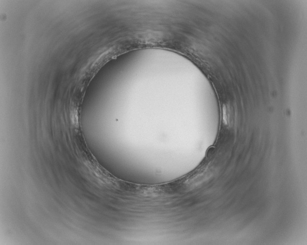 X0000060271155200511112040