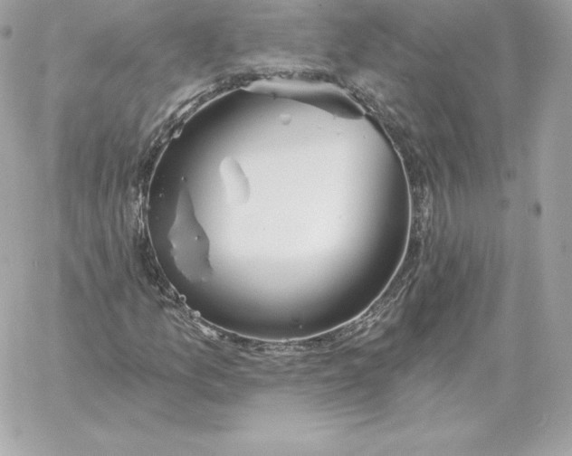 X0000060271157200511112040