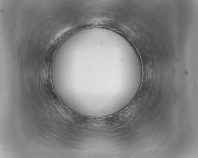 X0000060271158200511112040