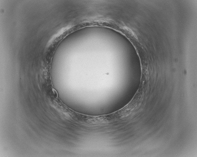 X0000060271159200511112040