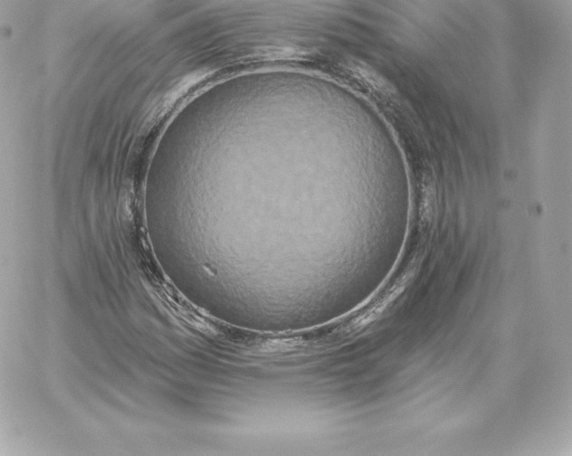 X0000060271161200511112039