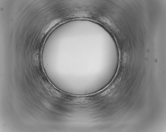 X0000060271162200511112039