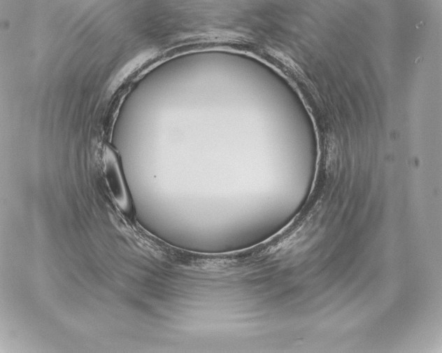 X0000060271163200511112039