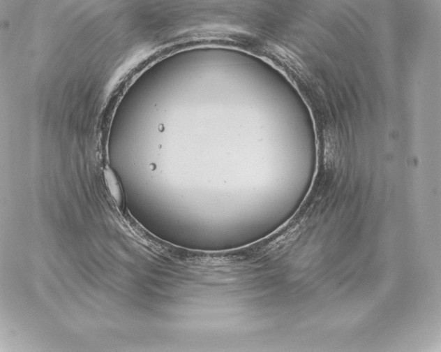 X0000060271164200511112039