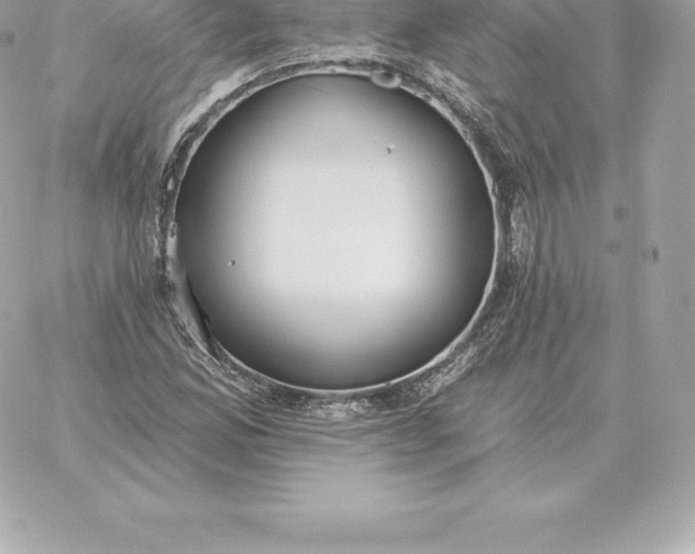 X0000060271165200511112039