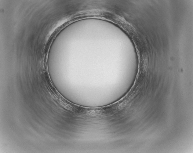 X0000060271166200511112039