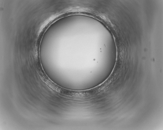 X0000060271167200511112039