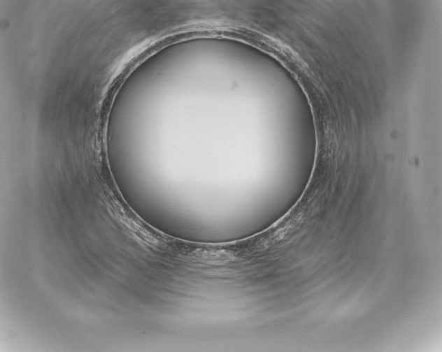 X0000060271168200511112039