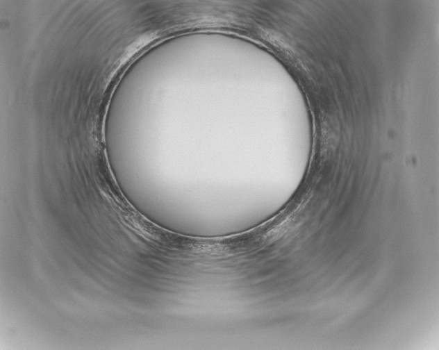 X0000060271170200511112039